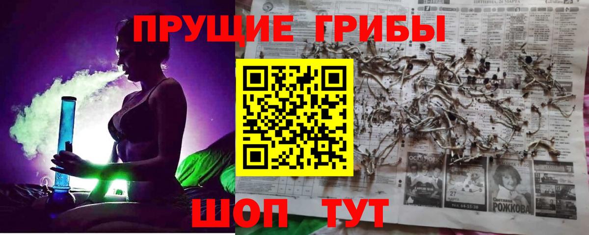 Карачаевск  Галлюциногенные грибы Cubensis  купить   Псилоцибиновые грибы Psilocybe  Вход с VPN 