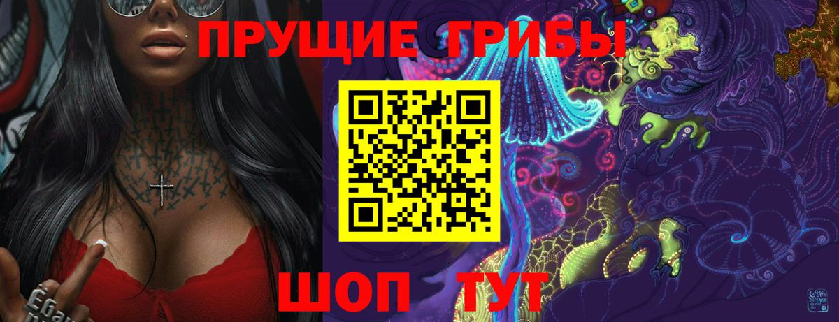 Галлюциногенные грибы мухоморы Карачаевск